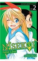 Nisekoi: False Love, Vol. 2