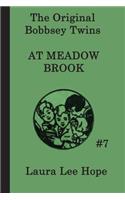 Bobbsey Twins at Meadow Brook