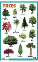 Trees Educational Chart