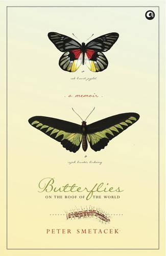 Butterflies on the Roof of the World