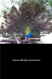 Peacock 100 Page Lined Journal: Blank 100 Page Lined Journal for Your Thoughts, Ideas, and Inspiration