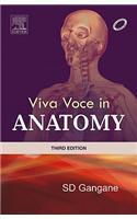 Viva Voce in Anatomy
