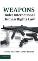 Weapons Under International Human Rights Law