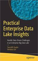 Practical Enterprise Data Lake Insights: Handle Data-Driven Challenges in an Enterprise Big Data Lake