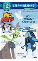 Wild Winter Creatures! (Wild Kratts)