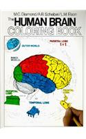 Human Brain Coloring Book