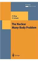 Nuclear Many-Body Problem