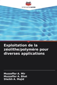 Exploitation de la zéolithe/polymère pour diverses applications