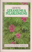 Growing Geraniums and Pelargoniums (Growing Series)