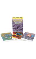 Warriors Manga 3-Book Full-Color Box Set: Graystripe's Adventure; Ravenpaw's Path, SkyClan and the Stranger(Warriors Manga)
