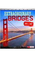 Extraordinary Bridges
