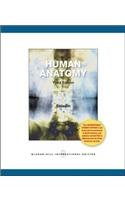 Human Anatomy