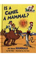 Is a Camel a Mammal?