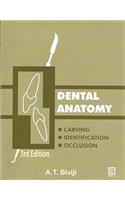 Dental Anatomy - Carving, Identification, Occlusion