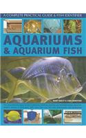 Aquariums and Aquarium Fish: A Complete Practical Guide & Fish Identifier