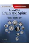 ExpertDDx: Brain and Spine