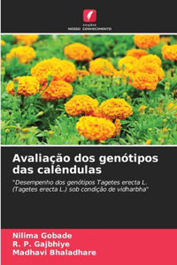 Avaliação dos genótipos das calêndulas