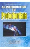 An Introduction To Protochordata