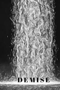 Demise