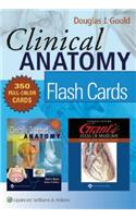 Clinical Anatomy Flash Cards