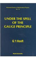 Under the Spell of the Gauge Principle