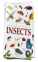 Animals: Insects