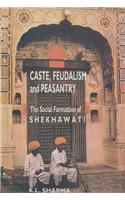 Caste Feudalism and Peasantry: Social Formation of Shekhawati