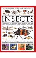 Illustrated World Encyclopedia of Insects