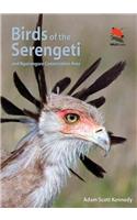 Birds of the Serengeti