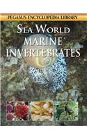Marine Invertebrates