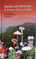 Mushroom Diversity in Eastern Ghats of India