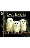 Owl Babies