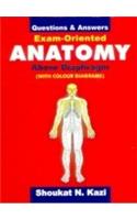Exam-Oriented Anatomy Above Diaphragm