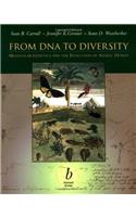 From DNA to Diversity: Molecular Genetics and the Evolution of Animal Design