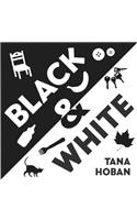 Black & White Board Book