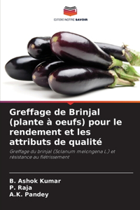 Greffage de Brinjal (plante à oeufs) pour le rendement et les attributs de qualité