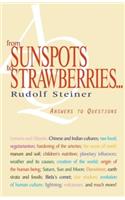 From Sunspots to Strawberries . . .