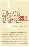From Sunspots to Strawberries . . .