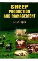Sheep Production and Management