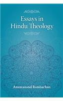 Essays in Hindu Theology