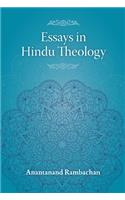 Essays in Hindu Theology