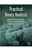 Practical Binary Analysis