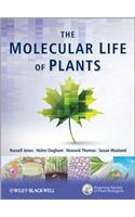 The Molecular Life of Plants