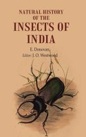Natural History of the insects of India [Hardcover]
