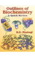 Outlines Of Biochemistry: A Quick Review