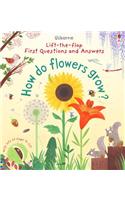 First Questions and Answers: How do flowers grow?