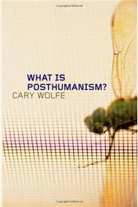 What Is Posthumanism?