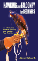 Hawking & Falconry for Beginners