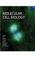 Molecular Cell Biology