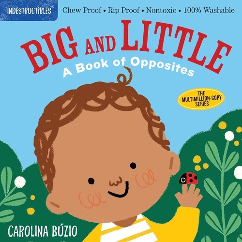 Indestructibles: Big and Little: A Book of Opposites: Chew Proof - Rip Proof - Nontoxic - 100% Washable (Book for Babies, Newborn Books, Safe to Chew)(Indestructibles)